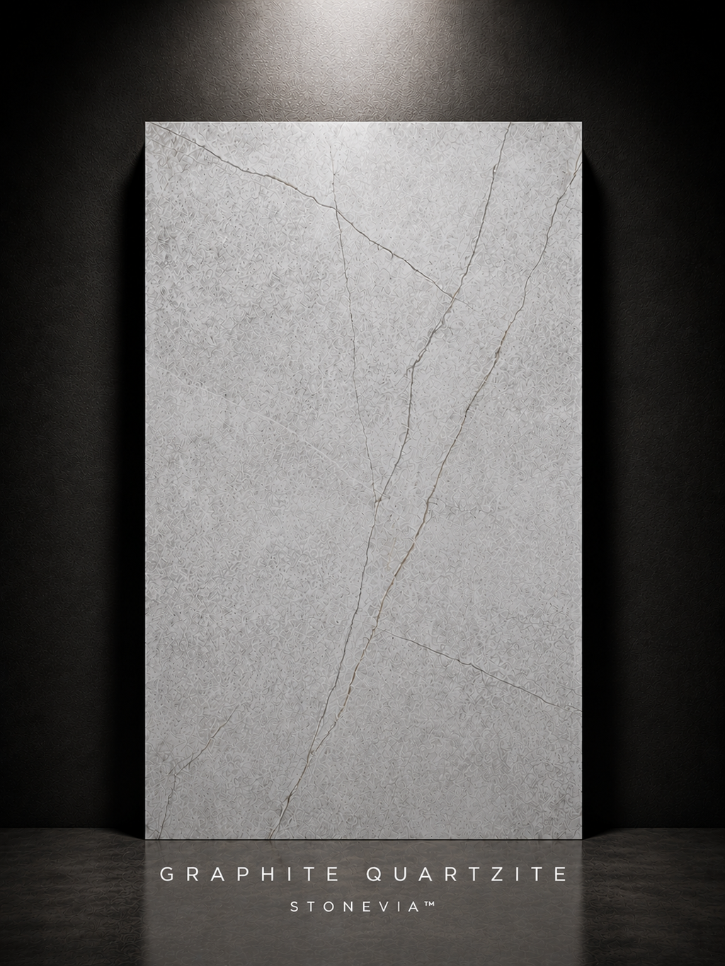 STONEVIA™ Cuarcita Grafito | Panel con efecto piedra gris oscuro