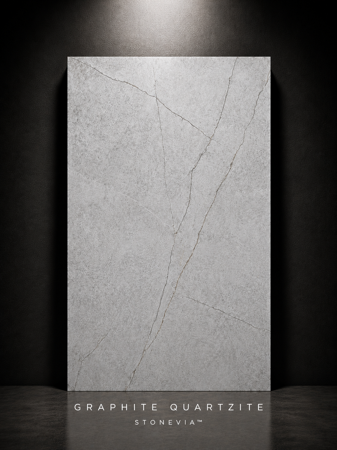 STONEVIA™ Cuarcita Grafito | Panel con efecto piedra gris oscuro